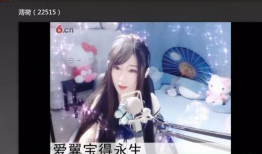 六间房视频,揭秘网络直播的魅力与挑战